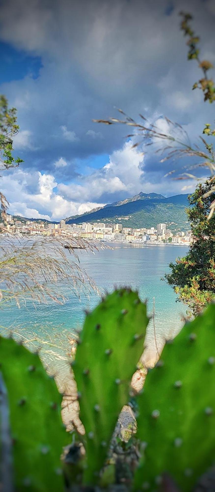 Appartement Entier, Climatise, Vue Mer 아작시오 외부 사진